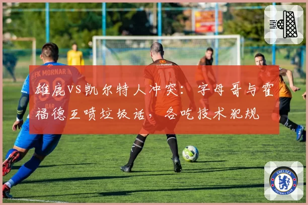 雄鹿vs凯尔特人冲突：字母哥与霍福德互喷垃圾话，各吃技术犯规