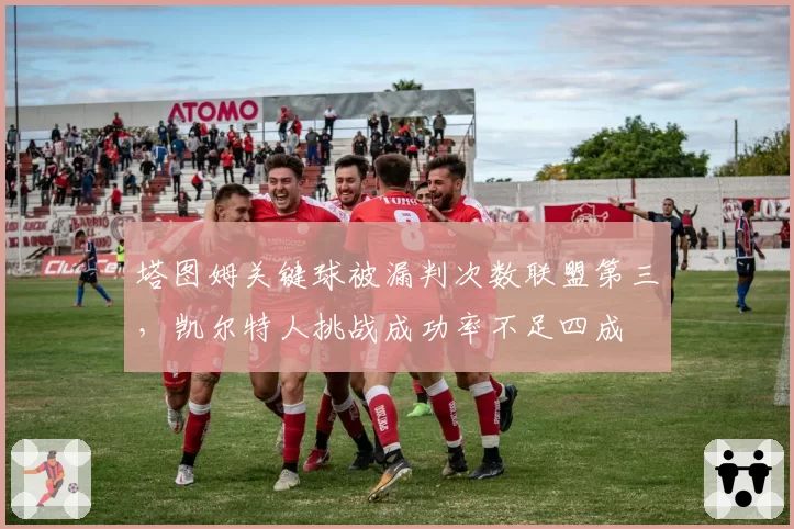 塔图姆关键球被漏判次数联盟第三,凯尔特人挑战成功率不足四成