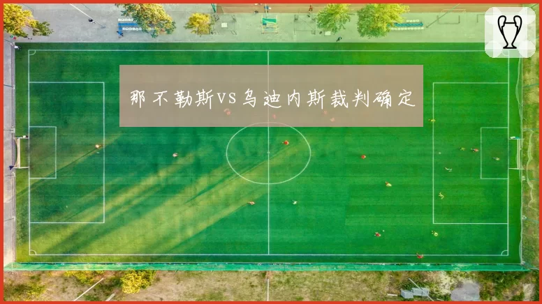 那不勒斯vs乌迪内斯裁判确定