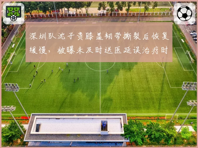 深圳队沈子贵膝盖韧带撕裂后恢复缓慢，被曝未及时送医延误治疗时机